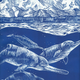 Artist’s reconstruction of Arktocara yakataga swimming offshore of Alaska 25 million years ago. Image: Alexandra Boersma